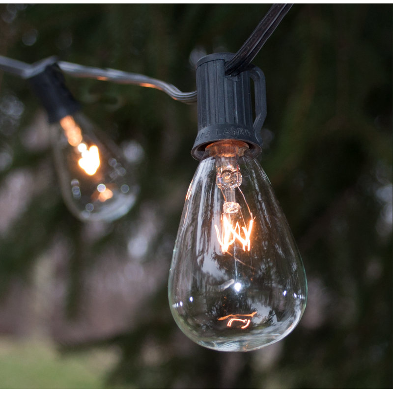 Edison String Lights Outdoor 25 - Bulb 25'' Plug-in String Light, Black
