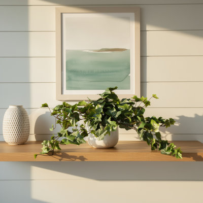 Ivy in a Ceramic Pot