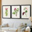 «Pretty Pink Botanicals IV», reproduction encadrée sur mesure de qualité supérieure - 3 pièces-1577315009-1577315008
