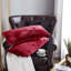 Housse de coussin lombaire en velours froissé-849992198