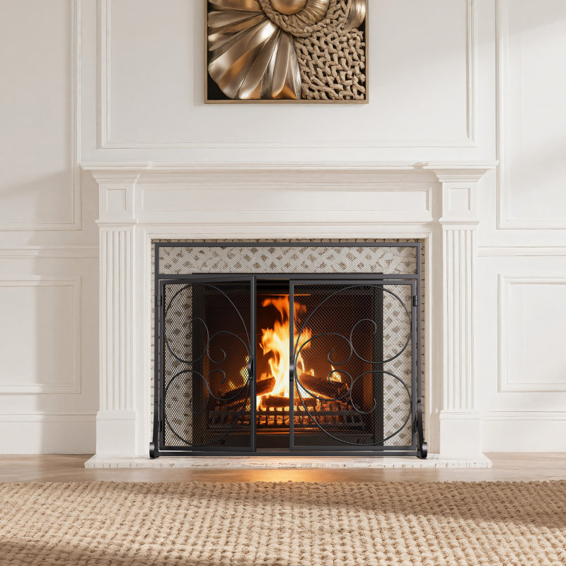 2 Double Door Iron Fireplace Door