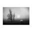 Art sur toile «Bolle Jose C. Lobato In The Moor»-109345615