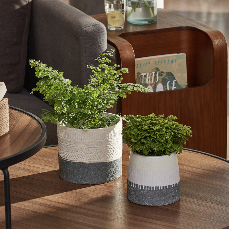 Ceramic Pot Planter