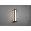 Felisitas Black Integrated LED Outdoor Flush Mount