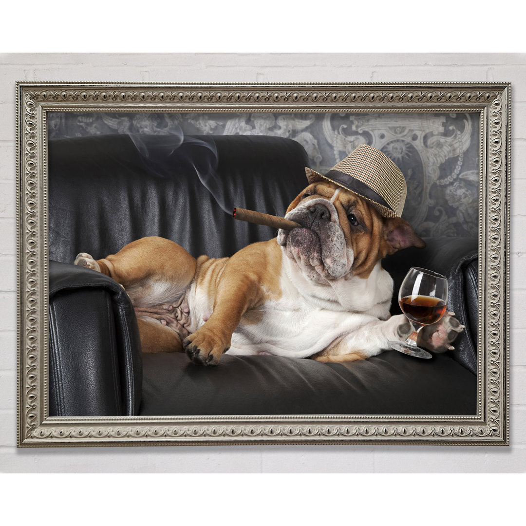 Gerahmtes Wandbild British Bulldog Chillin