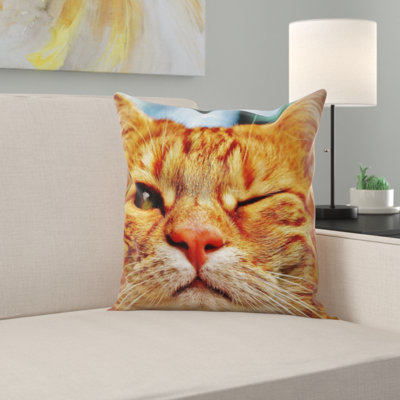 Cat Throw Pillow