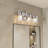 Ludovina 3-Light Dimmable Vanity Light-288181733
