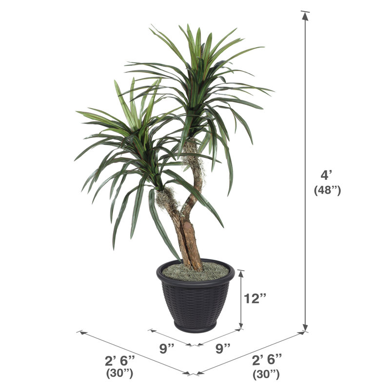 Artificial Marginata Tree, Gray