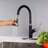 Rainlex Pull Down Kitchen Faucet