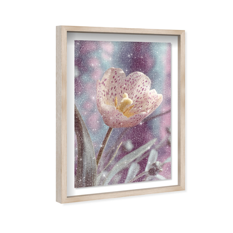 Dapple Bloom I Shadowbox Floral & Botanical Print by Oliver Gal, Black Frame, 10 x 15, 17.5"H x 25.5"W, Natural Oak Shadowbox