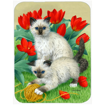 Caroline's Treasures Birman Kittens Glass Cutting Board