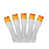 Orange/White