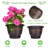 Plastic Flower Planters with Drainage Hole and Saucer-1109004354