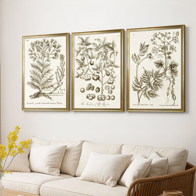 «Sepia Botanical Journal I», toile tendue sur mesure avec châssis, 3 pièces