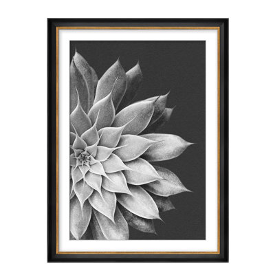 Monochromes noirs et blancs succulentes, illustrations botaniques encadrées, décoration murale