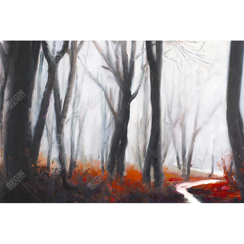 " Mysterious Forest With Stream "