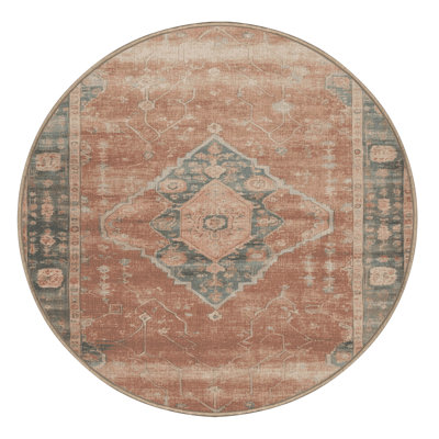 Machine Washable Overdyed Brown Area Rug