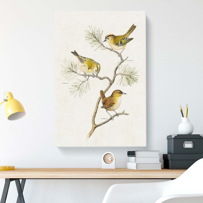 Eurasian Wren & Goldcrest Birds by Von Wright - Wrapped Canvas, 76cm H x 50cm W x 3cm D