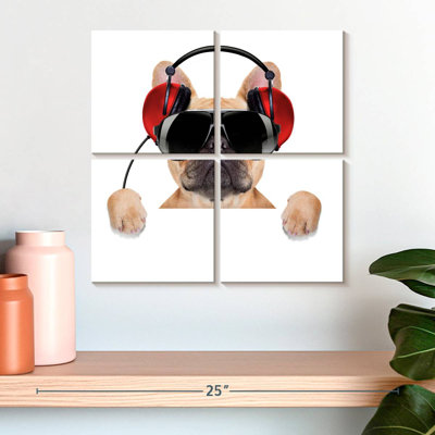 Brampt French Bulldog Audiophile