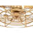 Trahan 24.4'' Ceiling Fan with Light Kit