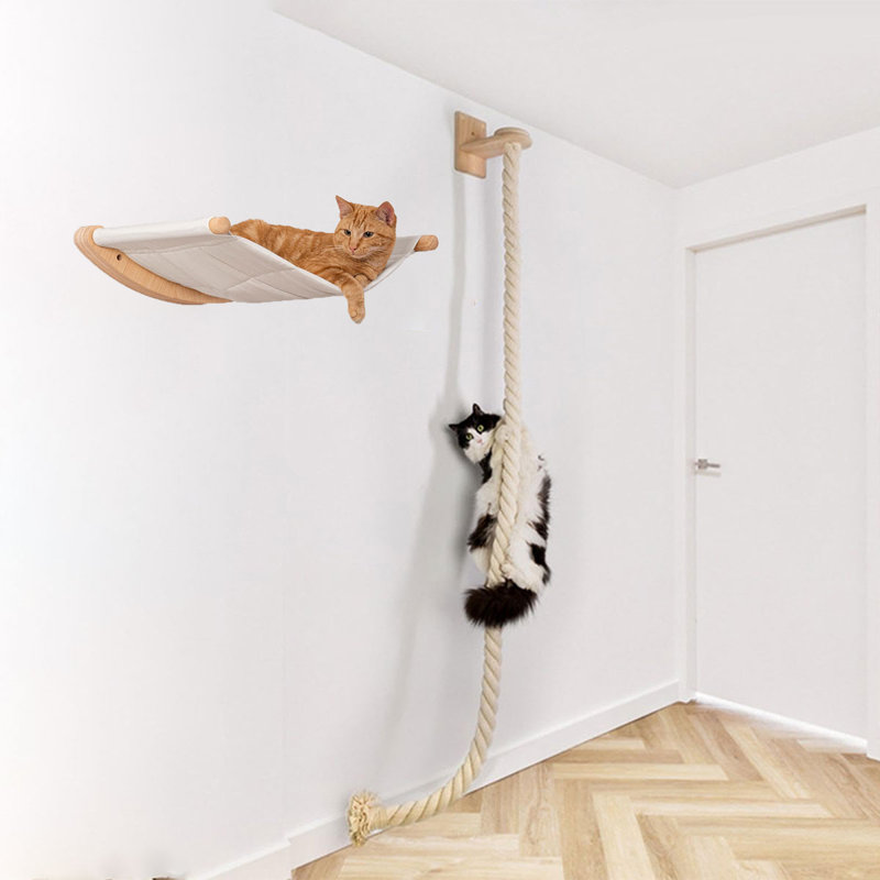 55" Cat Climbing Rope and Hammock Set