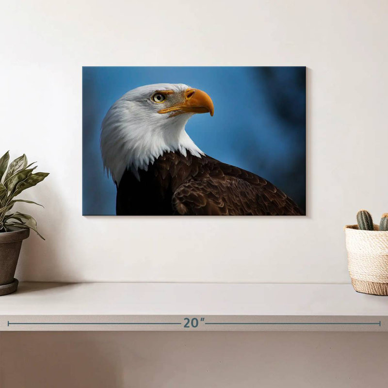 Brampt American Bald Eagle Headshot, 8" H x 12" W