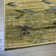 Alleyna Southwestern Indoor Rug