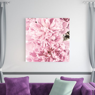 " Pale Pink Peony Cluster "