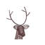 Christmas Decorative Accent