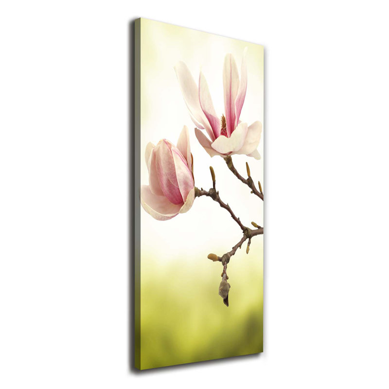 Magnolia Flowers - Wrapped Canvas Print