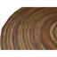 Hand Knotted Wool Area Rug in Tan