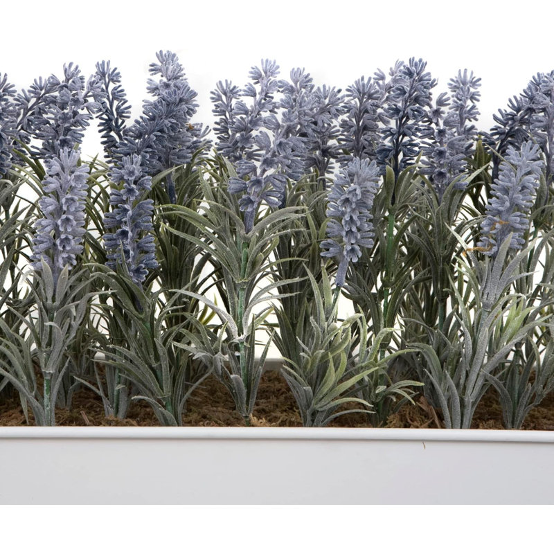 Lavender in Rustic Tin Planter (Window Box), White, 32.2cm H x 31cm W x 16.5cm D