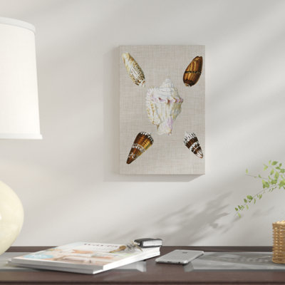" Shells On Linen II " by Vision Studio
