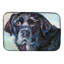 Tapis de séchage en visage labrador