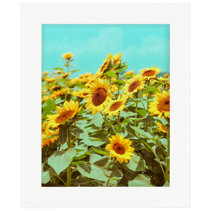 Ceron Single Image Picture Frame, Square, White, 5"  W x 5" H