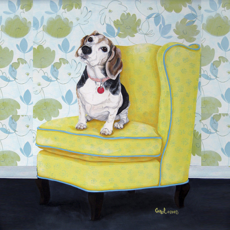 Beagle sur fond jaune, H 20 po x l 20 po, Non, Toile tendue