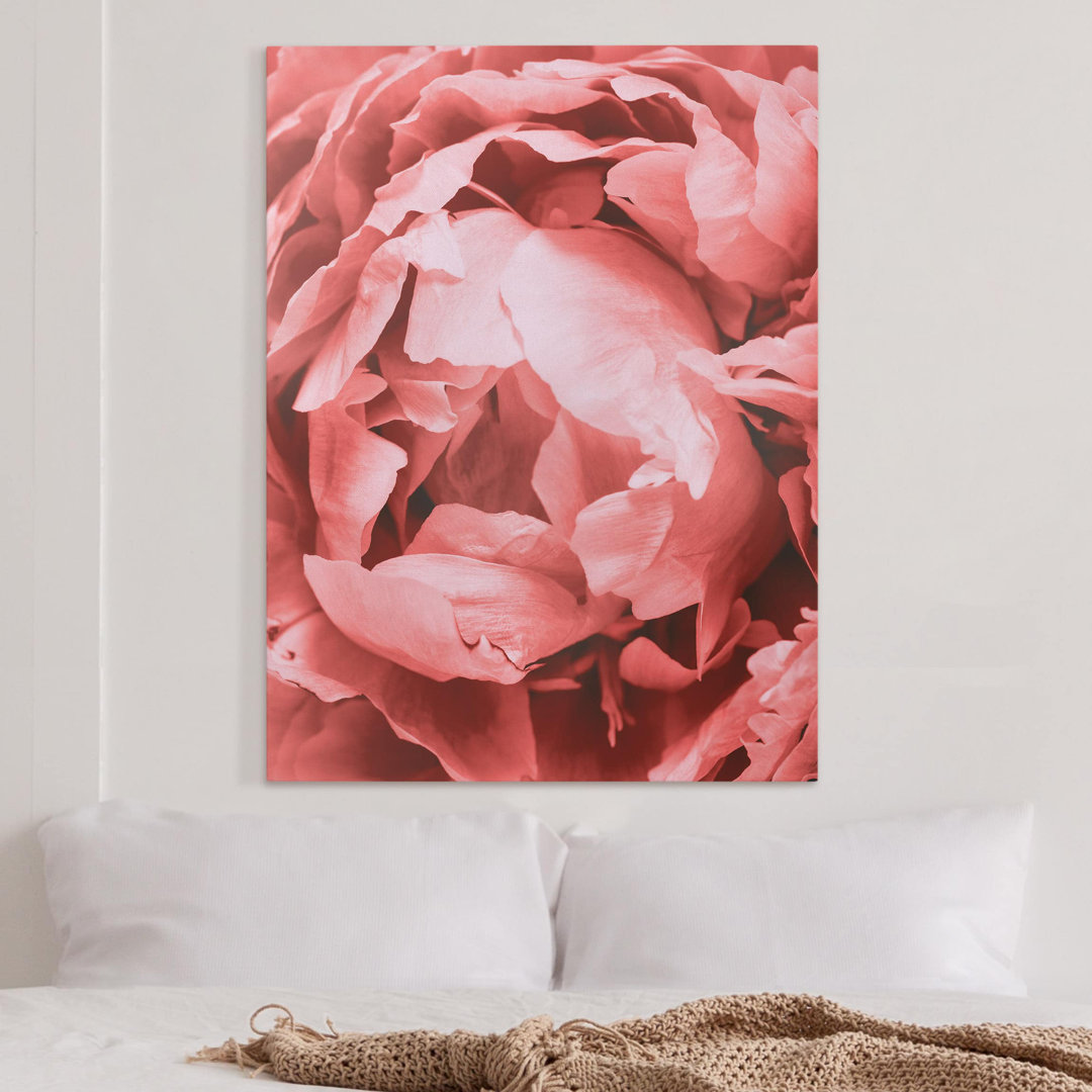 Leinwandbild Peony Flower Coral