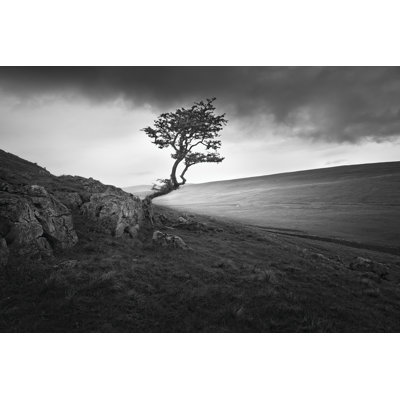 Outcrop 1 Piece Wrapped Canvas Wall Art