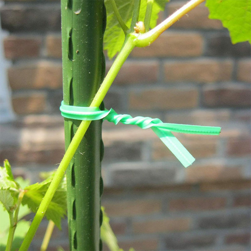 800 petits attaches de jardin vertes pré-coupées