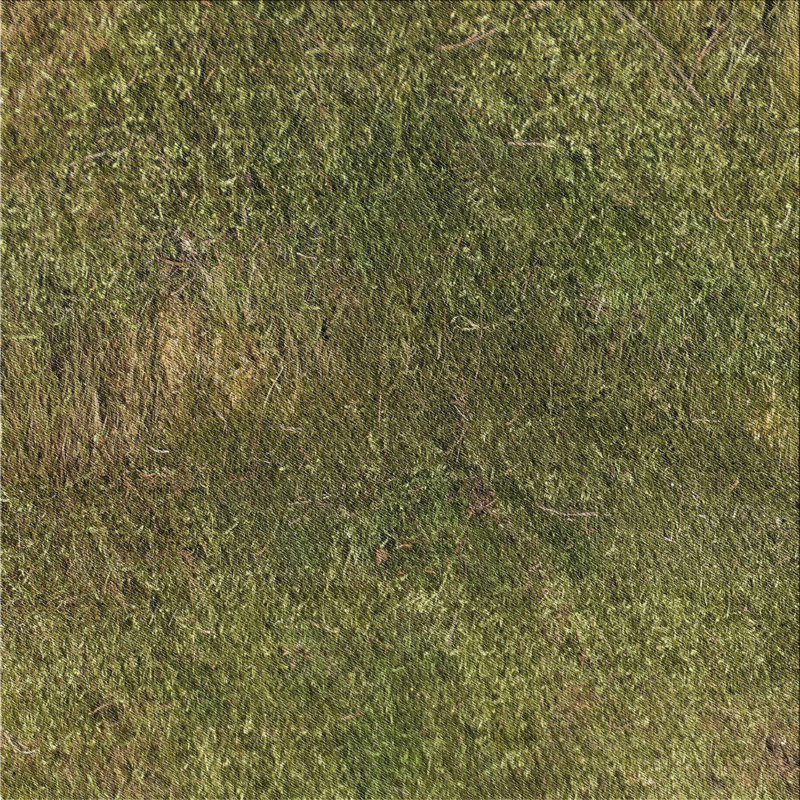 Tapis vert / brun en laine / polyester tissé à la machine, Carré 6 pi