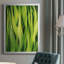 Of Grass I-88443040-88443041
