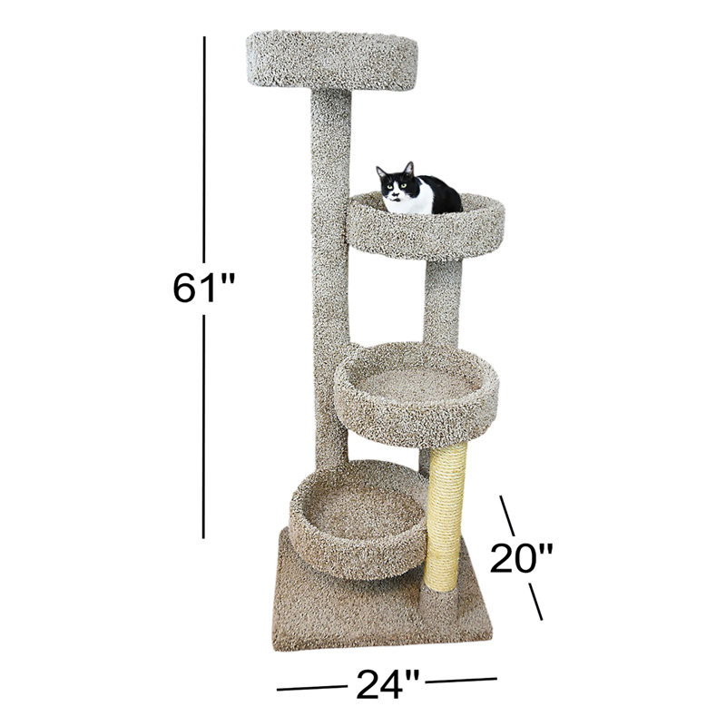 61 "New Cat Condo