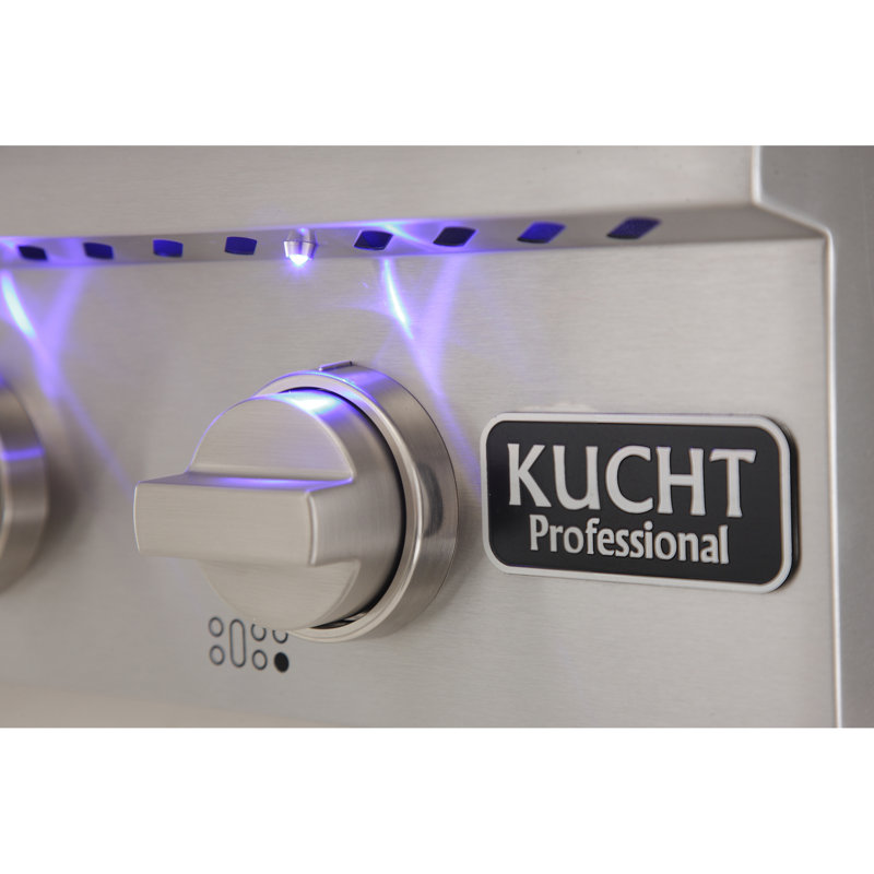Plaque de cuisson professionnelle de 48 po à 6 brûleurs avec plaque chauffante Professional, Argent classique