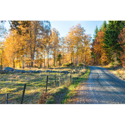 Road Along A Meadow by TT - Wrapped Canvas Print