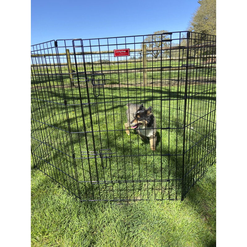 36-Inch Black Metal Foldable Pet Exercise Pen with Gate
