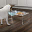 Ensemble de bols pour chien et chat PETMAker