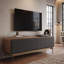 Solid Wood and Glass TV Stand