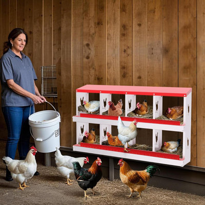 Boîtes de nidification en métal pour poules, boîte à œufs en acier galvanisé robuste avec 8 compartiments, conception murale pour poulaillers, sans support