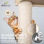 Tour pour chats pour chats d'intérieur, petit arbre à chat de 37 pouces avec perchoir élargi pour les grands chats et les chatons, arbre d'activité pour chats à plusieurs niveaux avec poteaux à griffes et rampe, beige-1370012574-1370012575