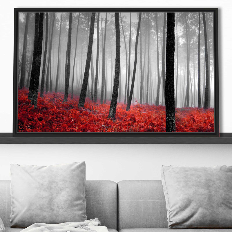 Autumn Woods II par - photographie, Cadre flottant noir, H 31,5 po x l 51,5 po x P 2 po
